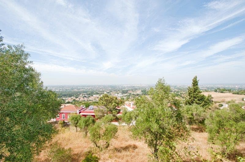 Terreno 1.5 ha, Palmela - Imagem 31