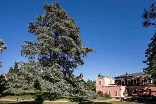 PF23347 - Mansion, Elvas - Image 13