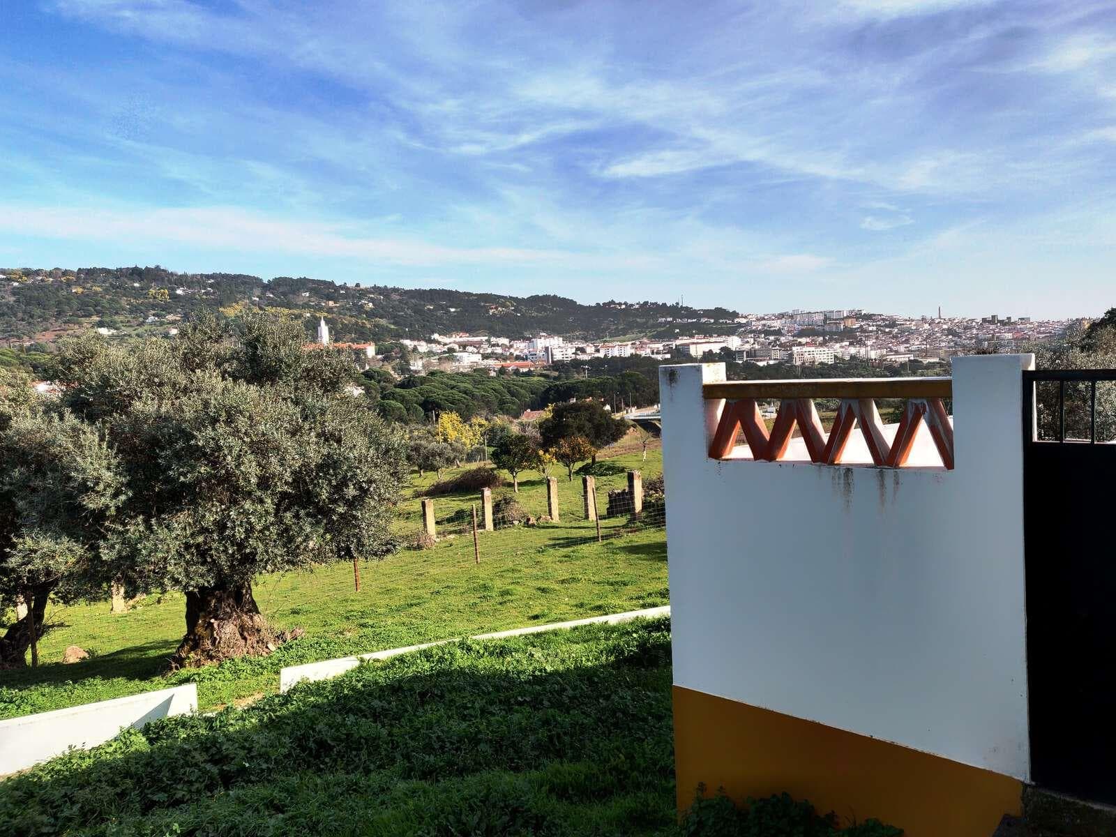 Herdade 10.0 ha, Penha, Portalegre - Imagem 5