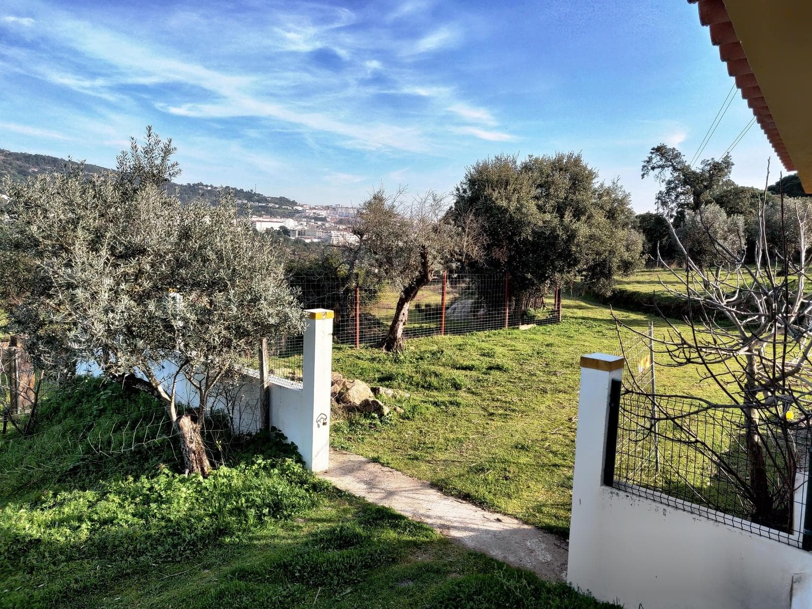 Herdade 10.0 ha, Penha, Portalegre - Imagem 40