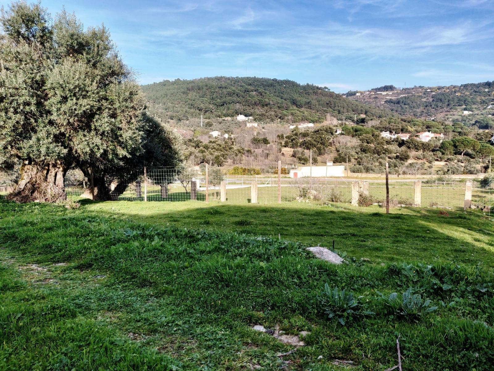 Herdade 10.0 ha, Penha, Portalegre - Imagem 44