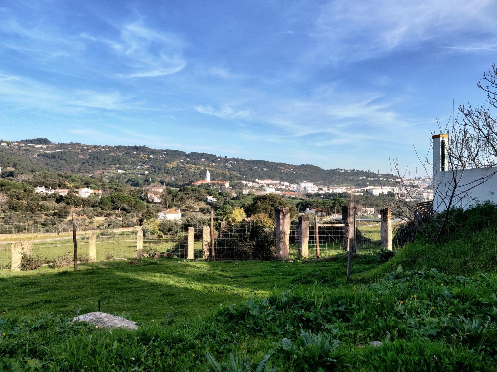 Herdade 10.0 ha, Penha, Portalegre - Imagem 51