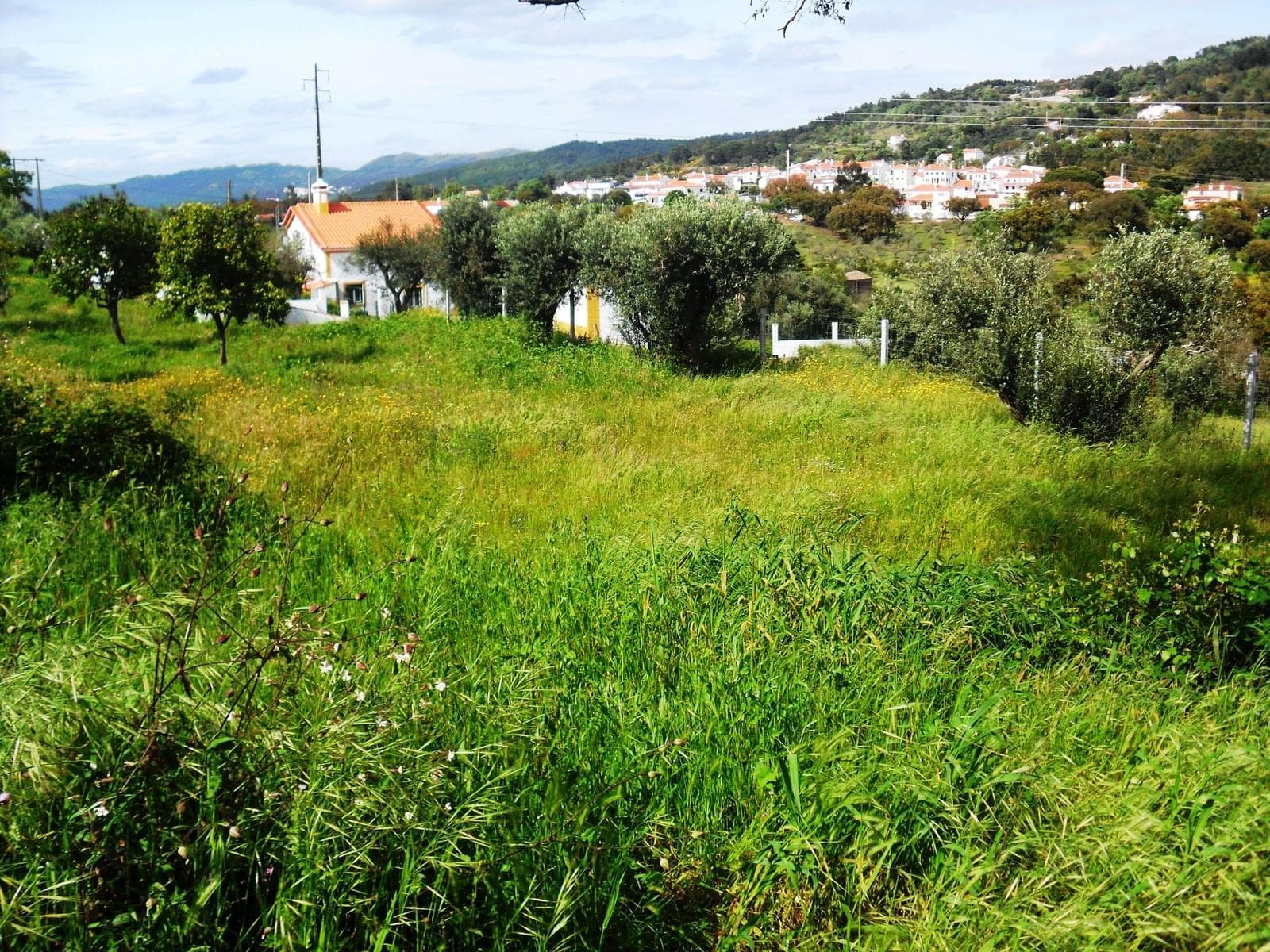 Herdade 10.0 ha, Penha, Portalegre - Imagem 37