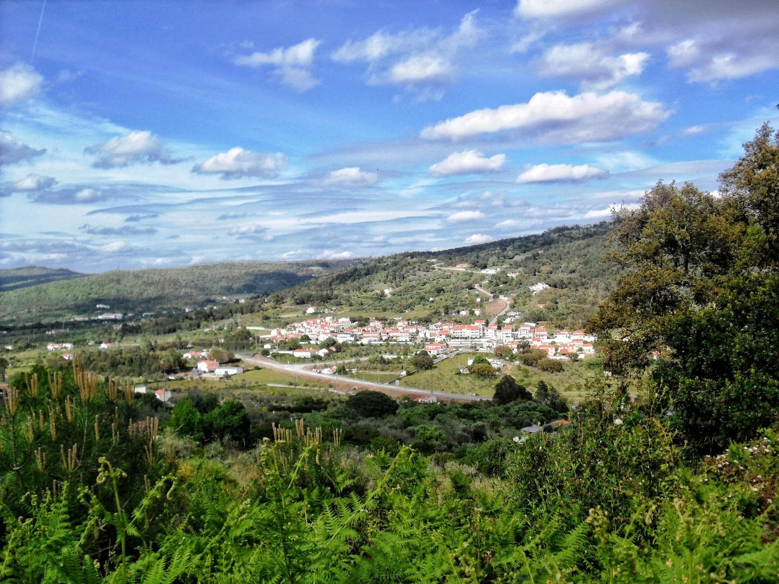 Herdade 10.0 ha, Penha, Portalegre - Imagem 4