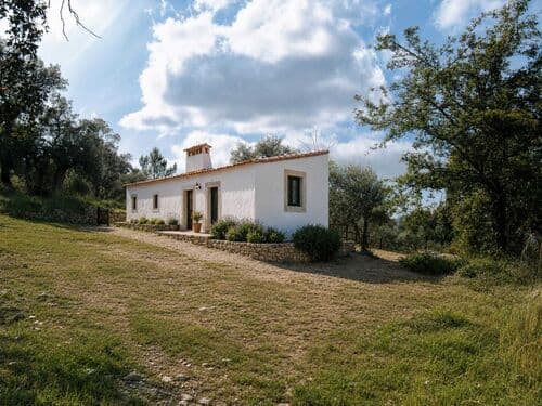 PF27346 - Homestead 10.0 ha, Penha, Portalegre - Image 44