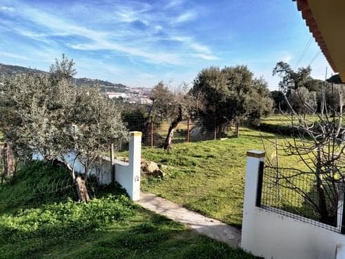 PF27346 - Homestead 10.0 ha, Penha, Portalegre - Image 40