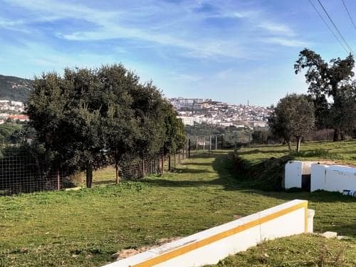PF27346 - Homestead 10.0 ha, Penha, Portalegre - Image 6