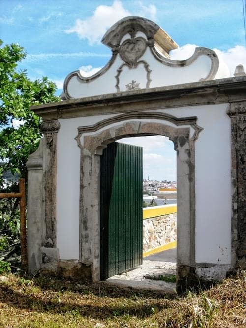 PF27346 - Homestead 10.0 ha, Penha, Portalegre - Image 29