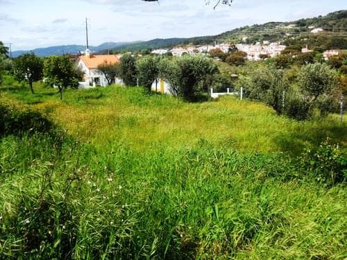 PF27346 - Homestead 10.0 ha, Penha, Portalegre - Image 37
