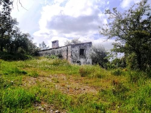 PF27346 - Homestead 10.0 ha, Penha, Portalegre - Image 34