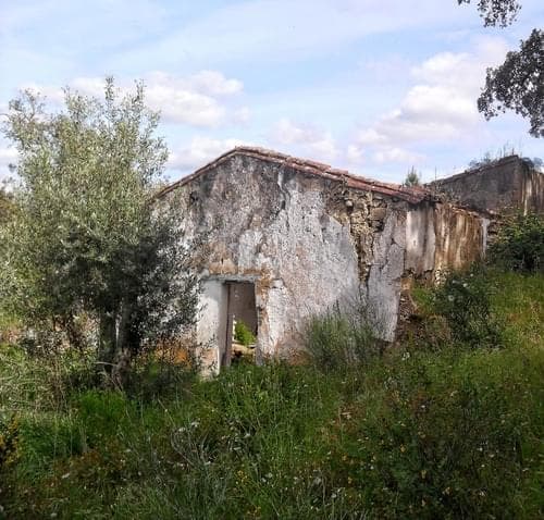 PF27346 - Homestead 10.0 ha, Penha, Portalegre - Image 33