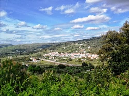 PF27346 - Homestead 10.0 ha, Penha, Portalegre - Image 4