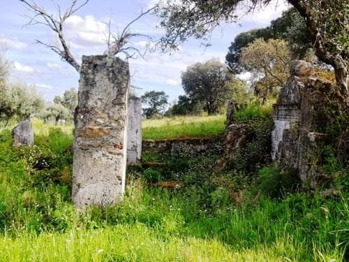 PF27346 - Homestead 10.0 ha, Penha, Portalegre - Image 38