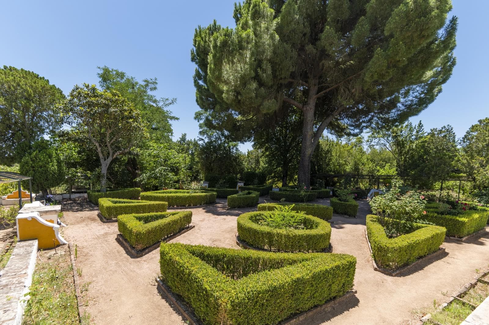 Quinta 16.3 ha, Elvas - Imagem 20