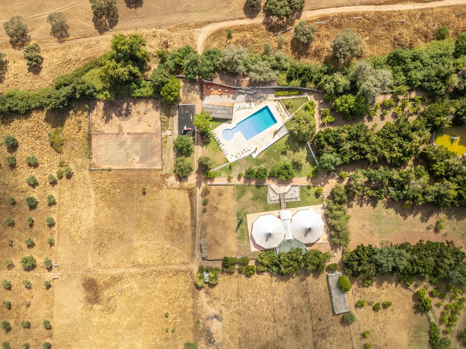 Quinta 16.3 ha, Elvas - Imagem 38