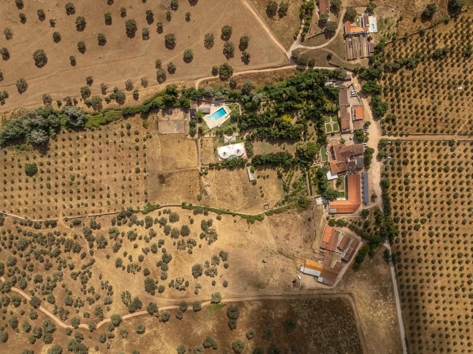 Quinta 16.3 ha, Elvas - Imagem 42