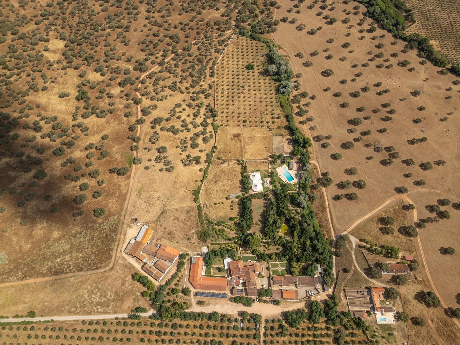 Quinta 16.3 ha, Elvas - Imagem 43