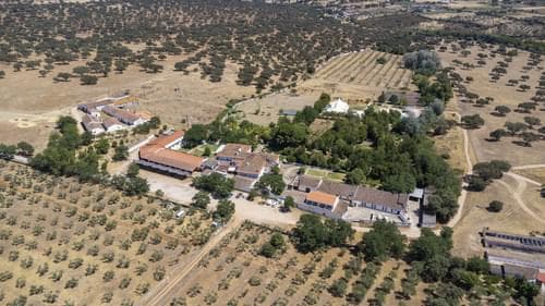 PF28194 - Ferme 16.3 ha, Elvas - Image 41