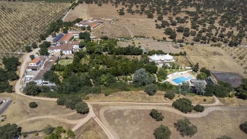 PF28194 - Ferme 16.3 ha, Elvas - Image 40