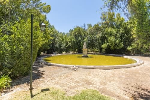 PF28194 - Ferme 16.3 ha, Elvas - Image 33