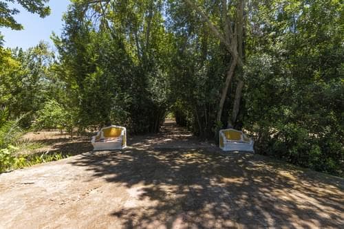 PF28194 - Ferme 16.3 ha, Elvas - Image 35