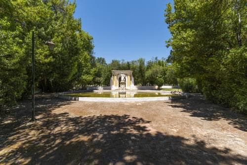 PF28194 - Ferme 16.3 ha, Elvas - Image 34