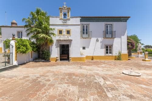 PF28194 - Ferme 16.3 ha, Elvas - Image 2