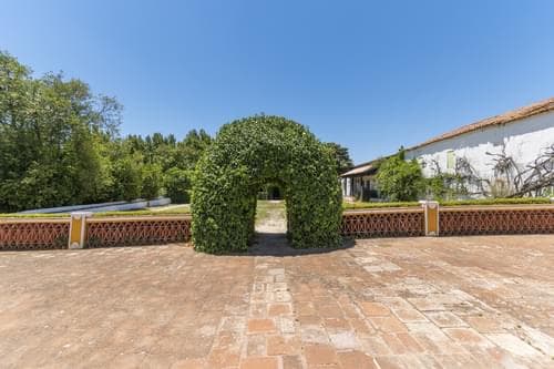 PF28194 - Ferme 16.3 ha, Elvas - Image 21