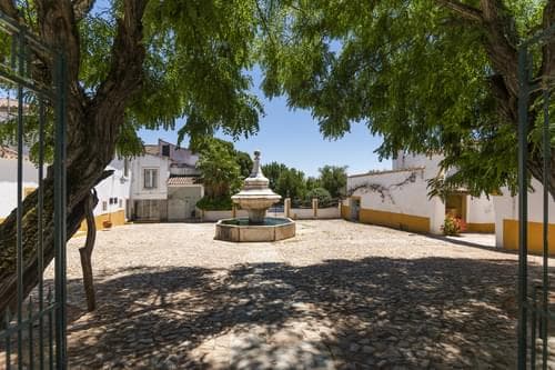 PF28194 - Ferme 16.3 ha, Elvas - Image 4
