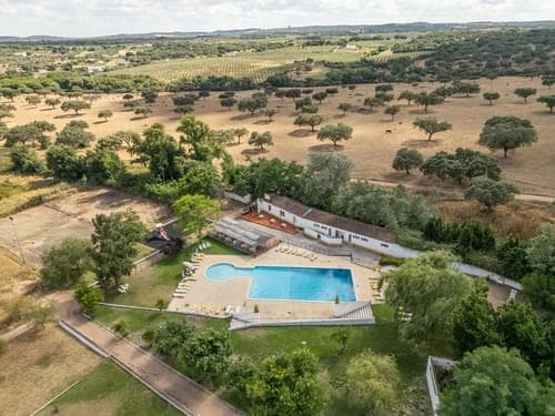 PF28194 - Ferme 16.3 ha, Elvas - Image 37