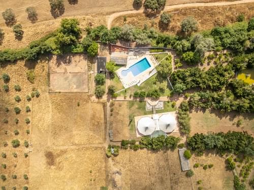 PF28194 - Ferme 16.3 ha, Elvas - Image 38