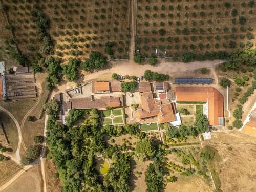 PF28194 - Ferme 16.3 ha, Elvas - Image 39
