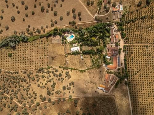 PF28194 - Ferme 16.3 ha, Elvas - Image 42