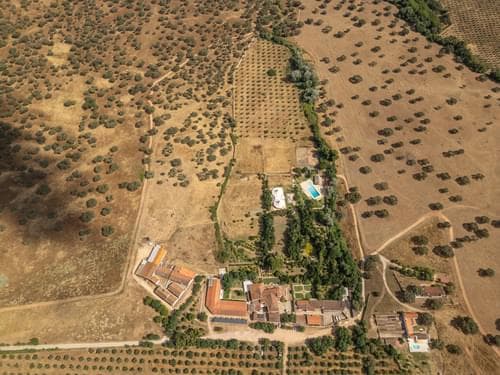 PF28194 - Ferme 16.3 ha, Elvas - Image 43