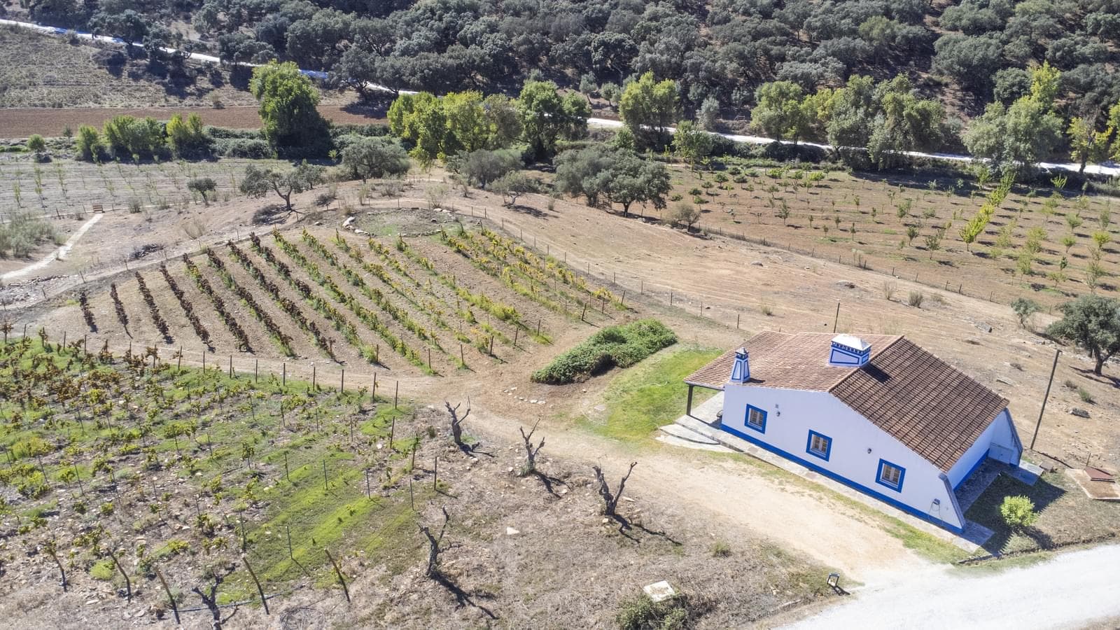 Herdade 22.9 ha, Ciladas, Vila Viçosa - Imagem 81
