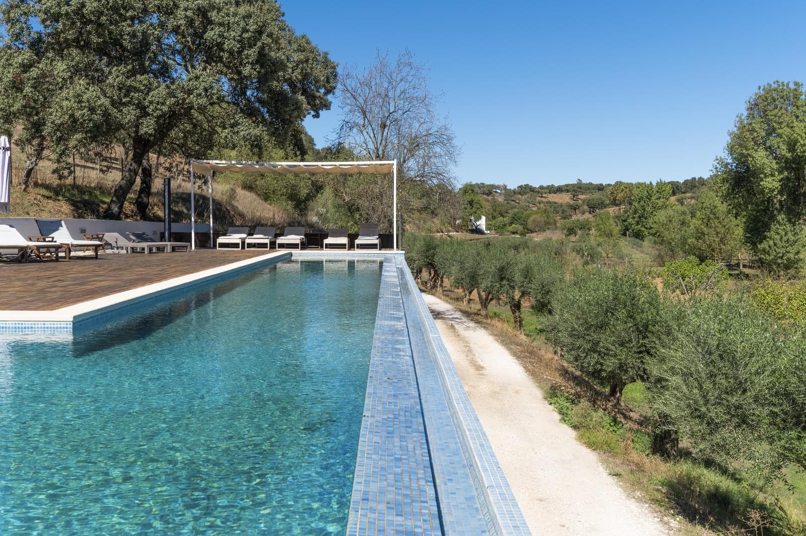 Herdade 22.9 ha, Ciladas, Vila Viçosa - Imagem 14