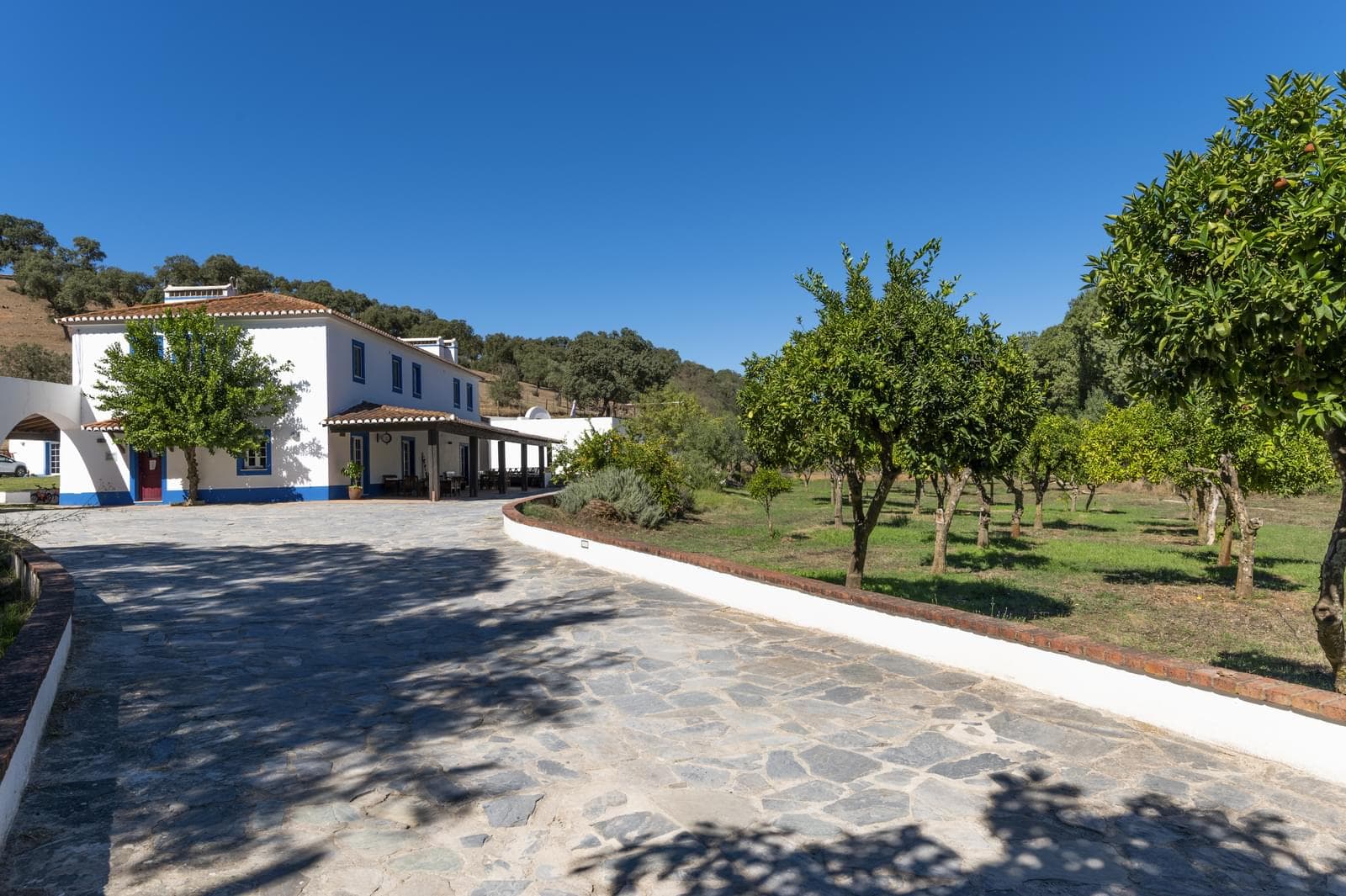 Herdade 22.9 ha, Ciladas, Vila Viçosa - Imagem 5