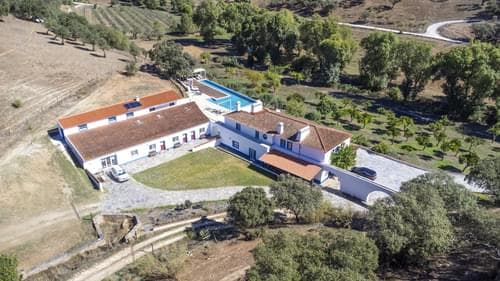 PF28688 - Herdade 22.9 ha, Ciladas, Vila Viçosa - Imagem 3