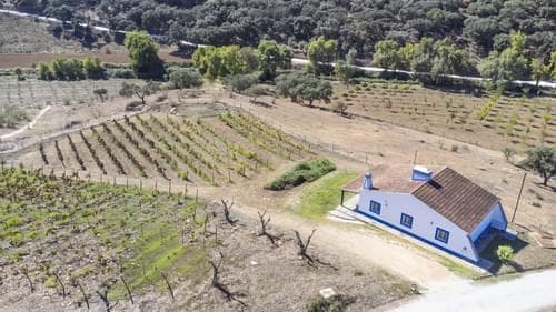 PF28688 - Herdade 22.9 ha, Ciladas, Vila Viçosa - Imagem 81
