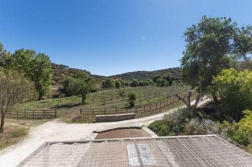 PF28688 - Herdade 22.9 ha, Ciladas, Vila Viçosa - Imagem 80