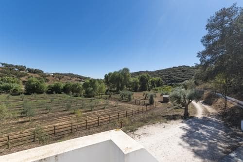 PF28688 - Herdade 22.9 ha, Ciladas, Vila Viçosa - Imagem 64