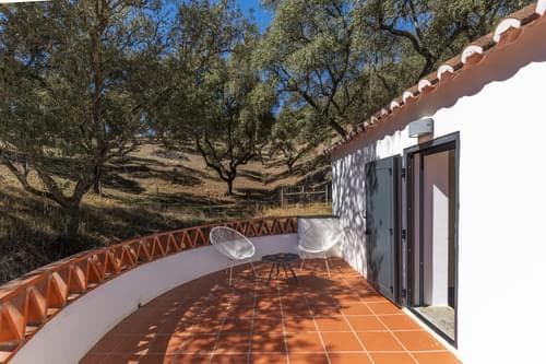 PF28688 - Herdade 22.9 ha, Ciladas, Vila Viçosa - Imagem 62