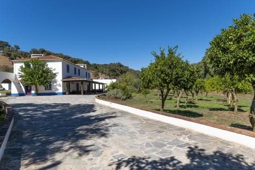 PF28688 - Herdade 22.9 ha, Ciladas, Vila Viçosa - Imagem 5