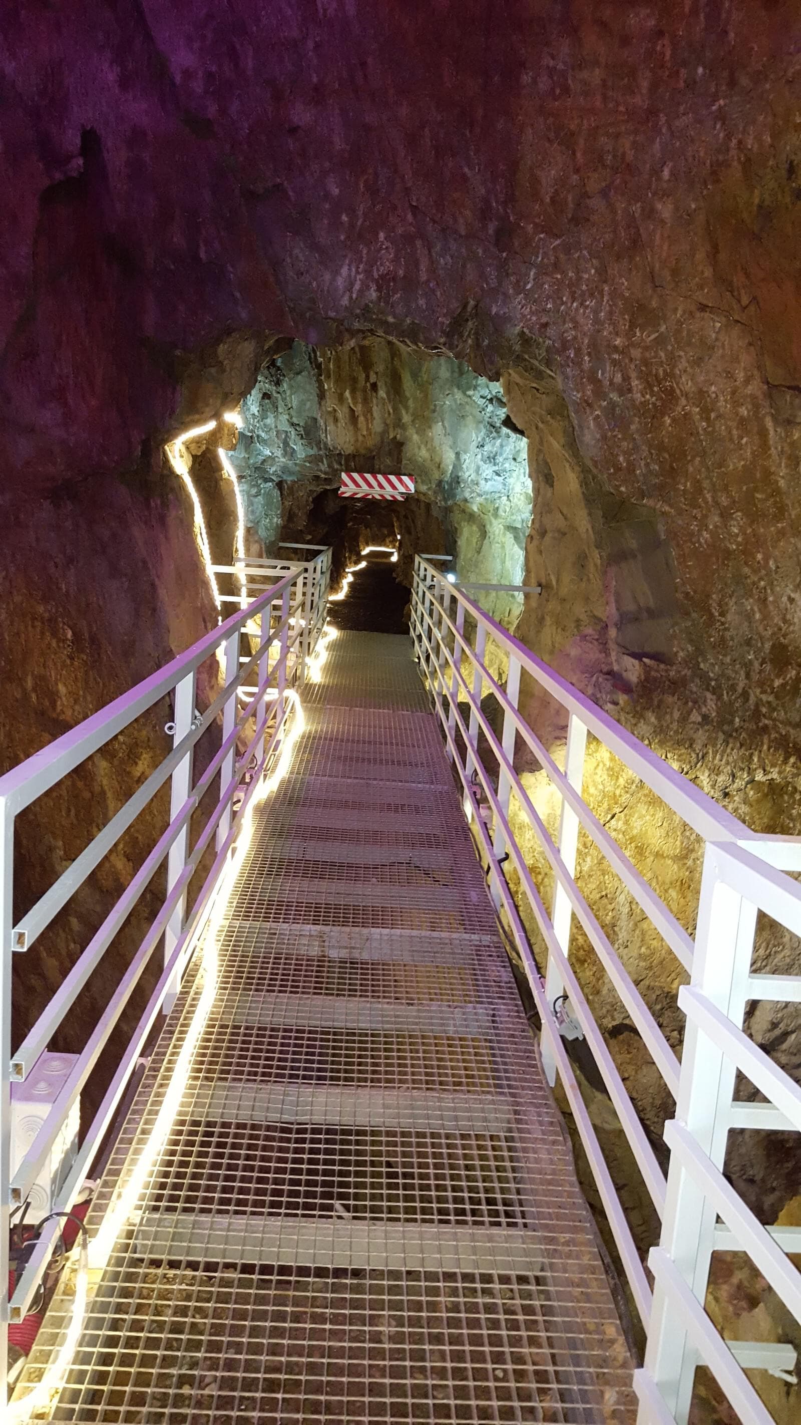 Quinta 5.3 ha, Covilhã - Imagem 10