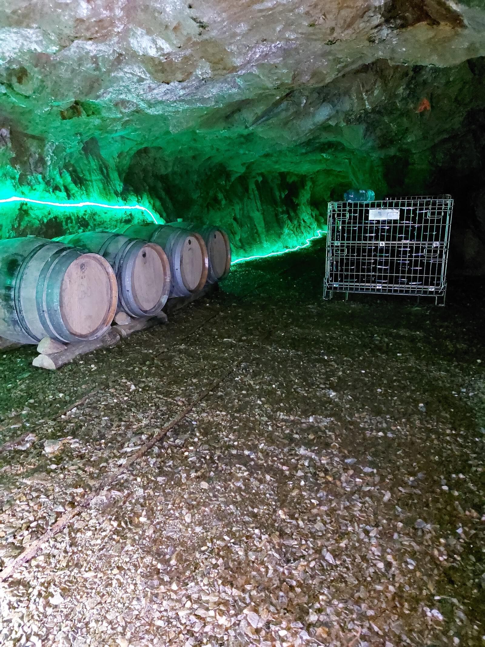 Quinta 5.3 ha, Covilhã - Imagem 44