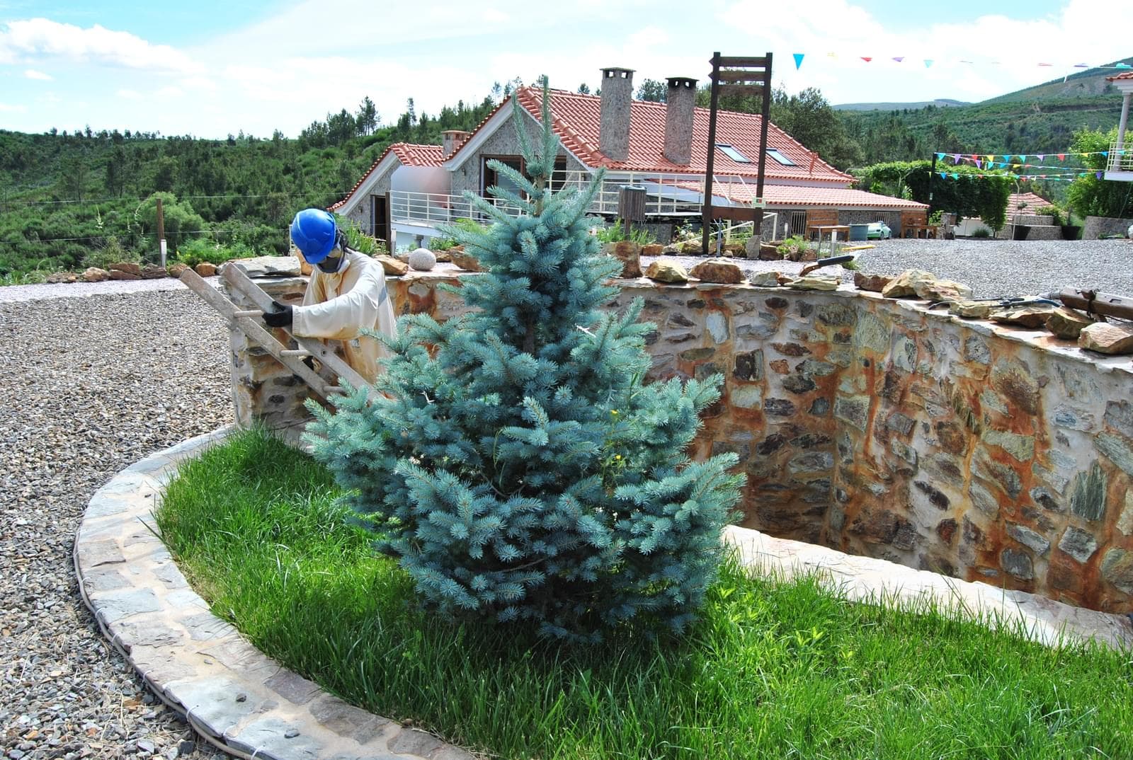 Quinta 5.3 ha, Covilhã - Imagem 62
