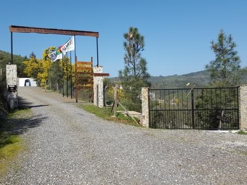 PF37345 - Ferme 5.3 ha, Covilhã - Image 3