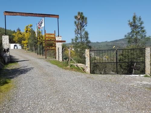 PF37345 - Ferme 5.3 ha, Covilhã - Image 42