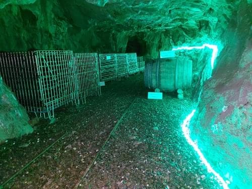 PF37345 - Ferme 5.3 ha, Covilhã - Image 46