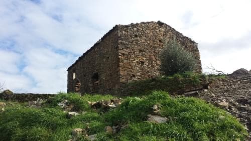 PF37345 - Ferme 5.3 ha, Covilhã - Image 19